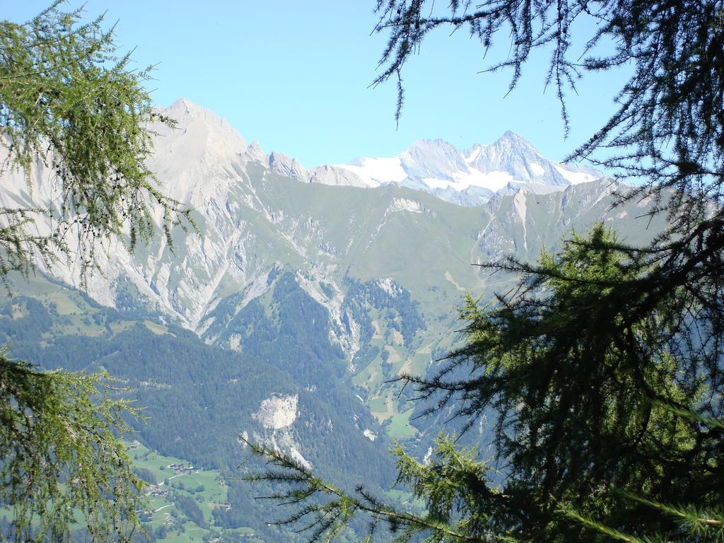 Apartments Poetscher Matrei in Osttirol Eksteriør billede